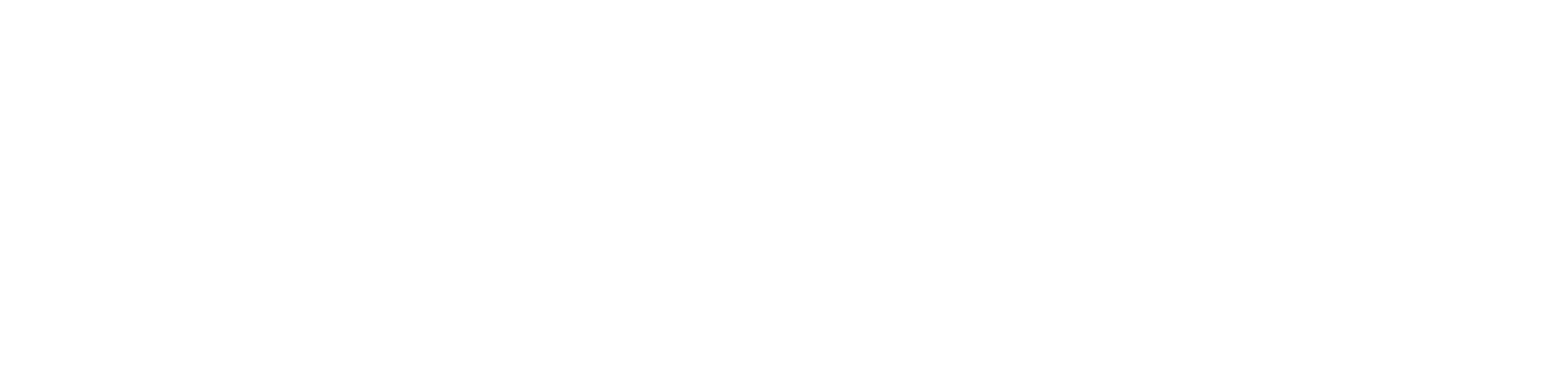 Smart AI Solutions